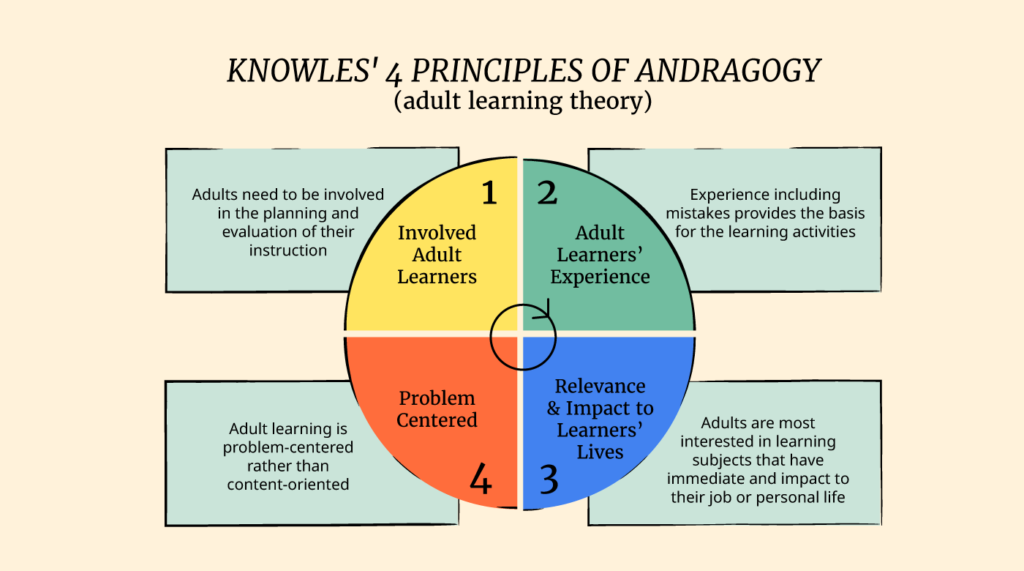 Knowles 4 Principles Of Andragogy Graphic