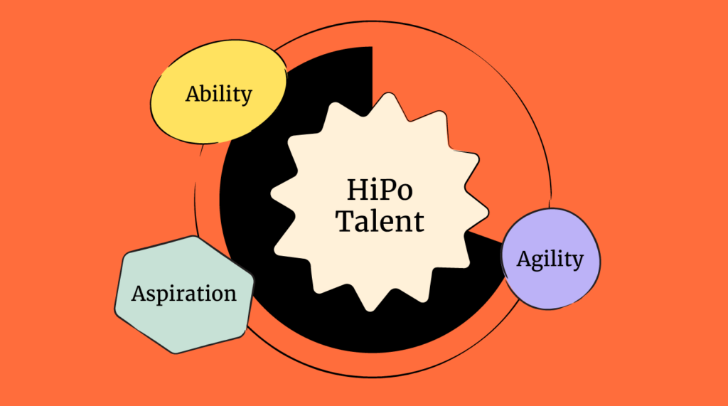 HiPo talent infographic